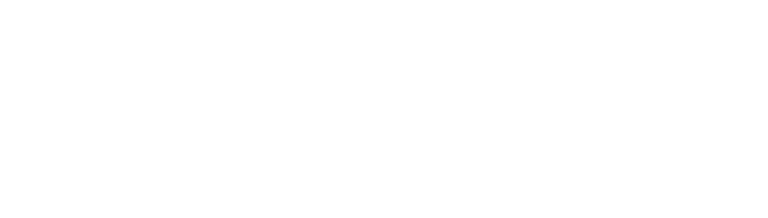 Metasystems Inc logo